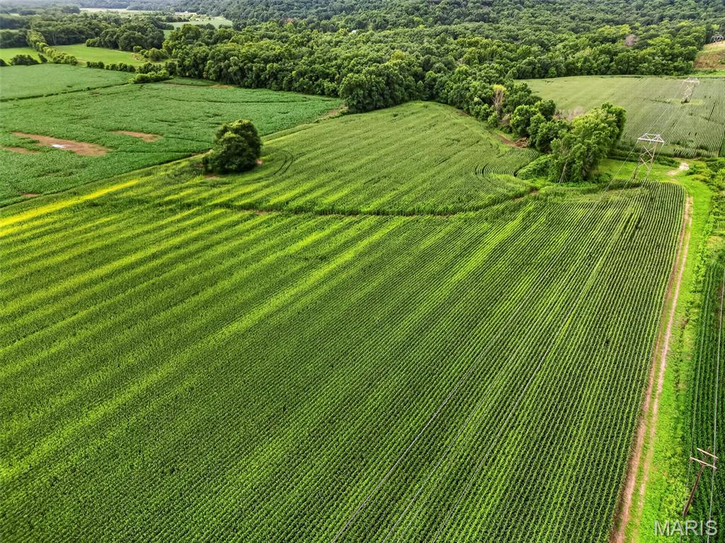 Photo 50