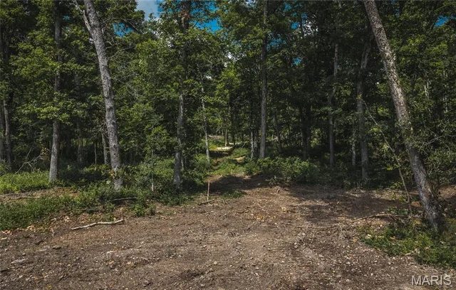 Primary bedroom — TBD Geronimo Springs Road-Tract 3 Macks Creek Missouri real estate
