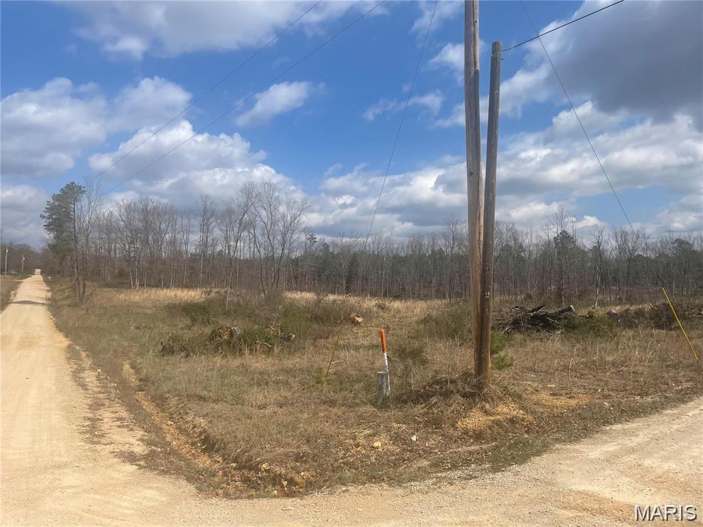 0 Highway 21 & CR 229 S Ellsinore Missouri home for sale listed at $29,900