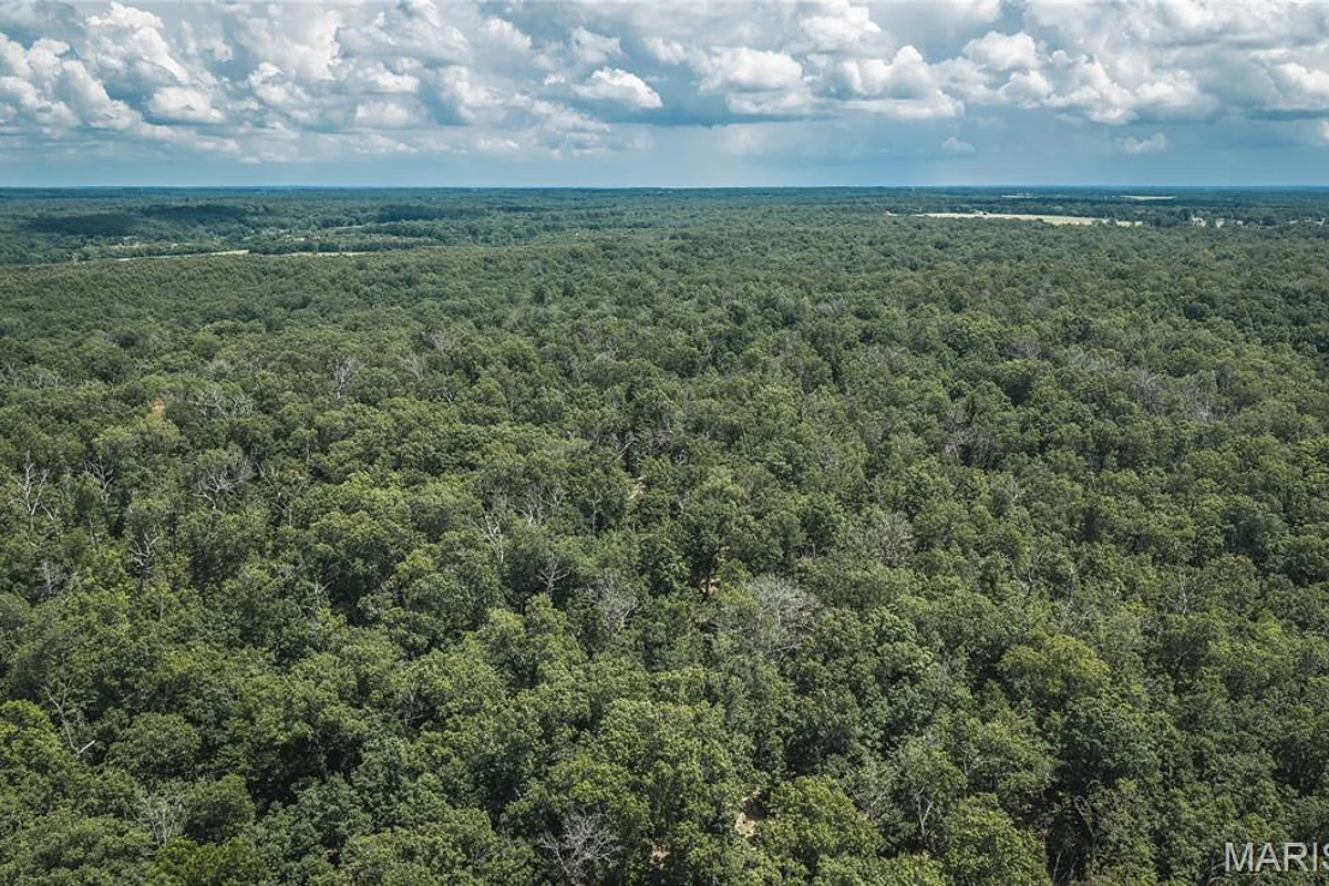 TBD Geronimo Springs Road-Tract 5 Macks Creek Missouri home for sale listed at $180,000