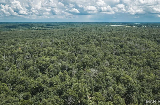TBD Geronimo Springs Road-Tract 5, Macks Creek MO