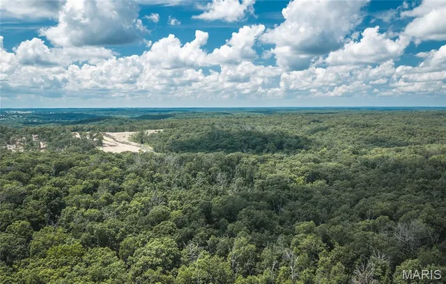 Living room — TBD Geronimo Springs Road-Tract 6 Macks Creek Missouri real estate