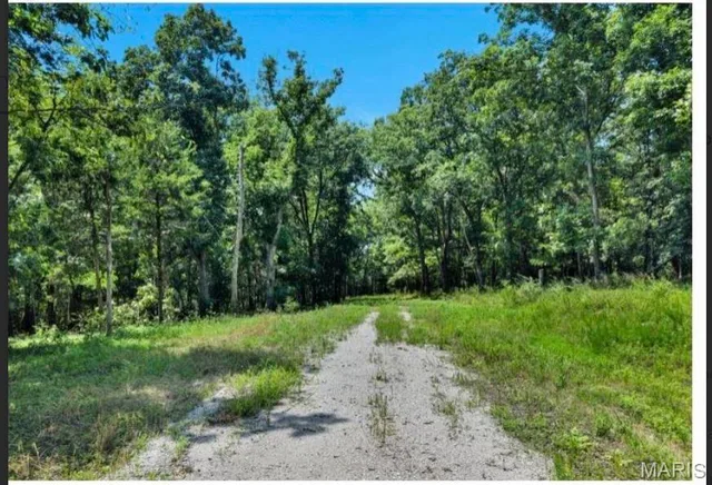 Primary bedroom — 2323 HWY F hwy F Unincorporated Missouri real estate