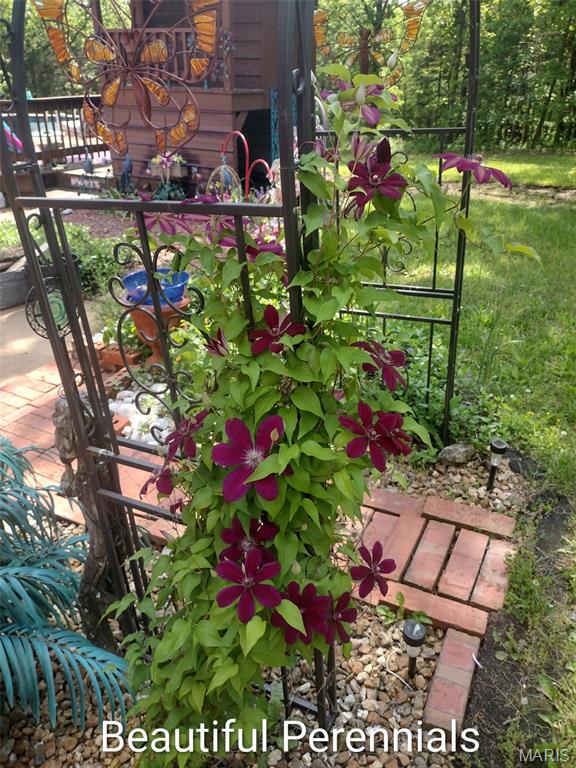 Photo 31