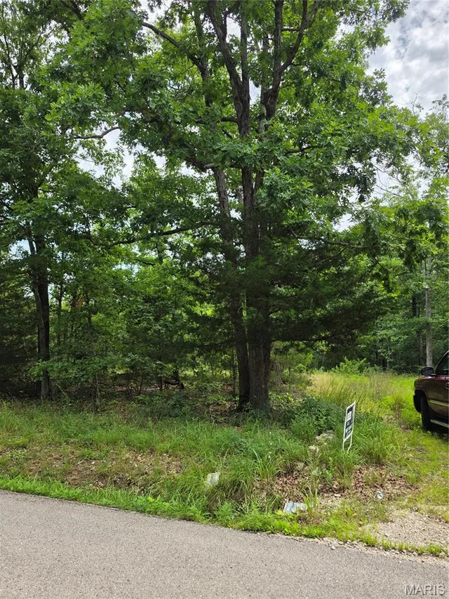 23675 Grandview Road, Lebanon MO