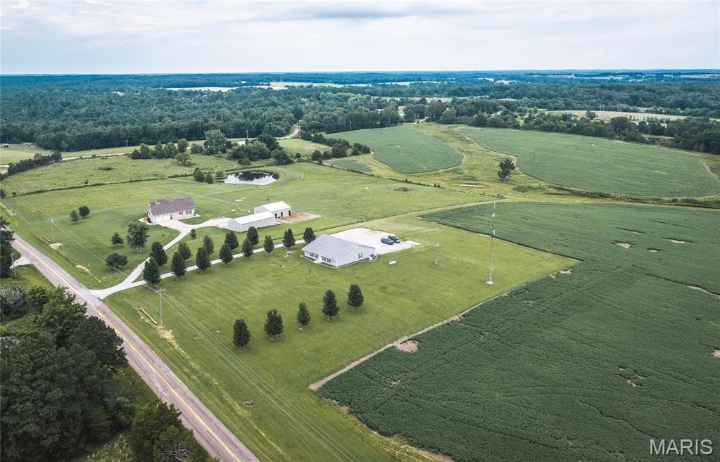 Photo 42
