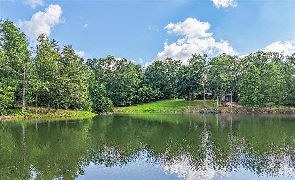 17340 County Road 252, Bloomfield MO real estate