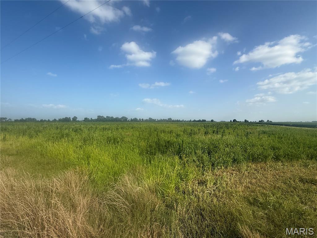 0 County Road 406, Hayti MO real estate