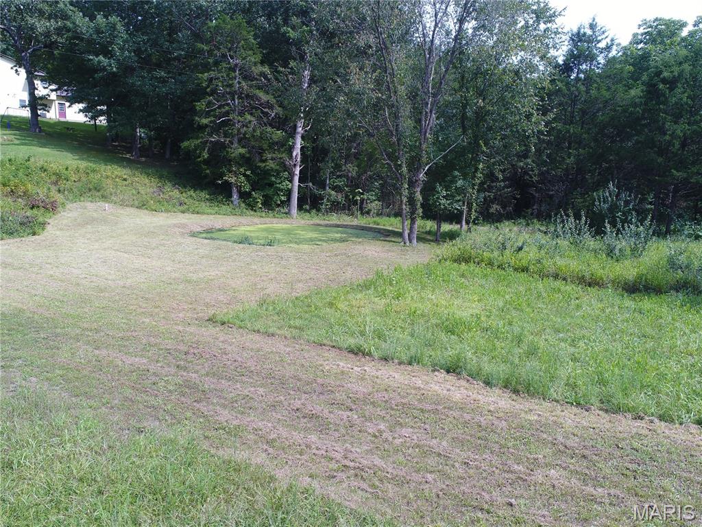 Photo 47