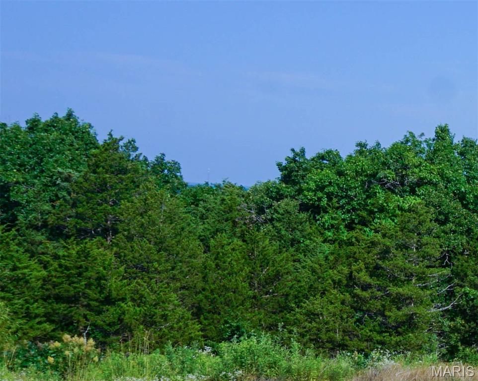 43.21 m/l Ac State Route O Rolla Missouri home for sale listed at $200,000