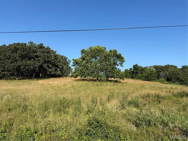 Living room — Lot A 1621 County Road 3260 Salem Missouri real estate