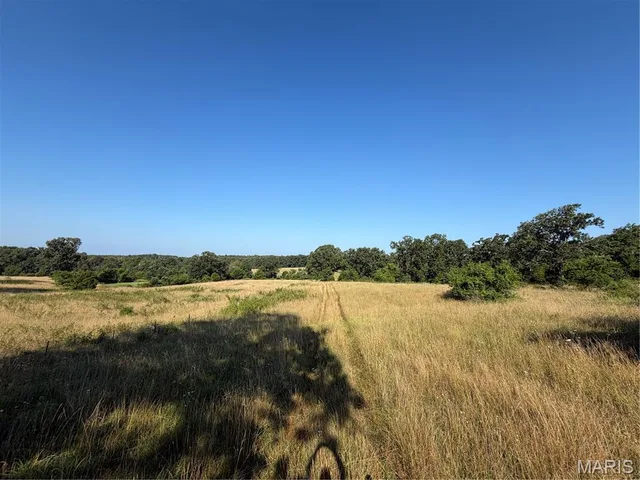 Kitchen — Lot A 1621 County Road 3260 Salem Missouri real estate
