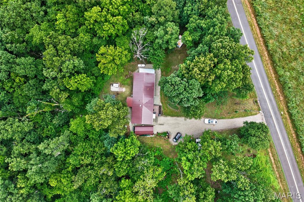 Photo 40