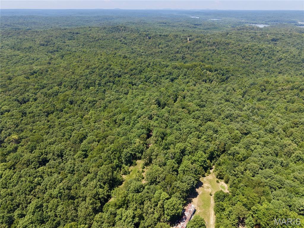 000 Highway 172, Williamsville MO real estate
