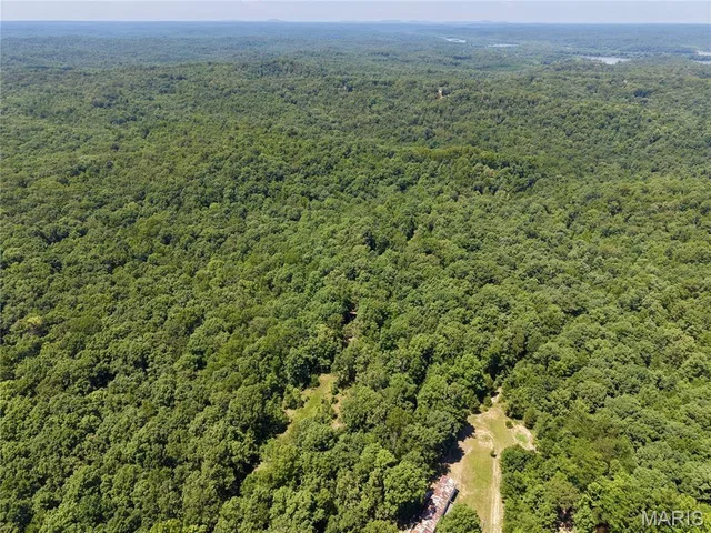 000 Highway 172, Williamsville MO real estate