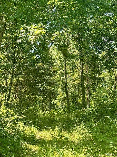 Photo 25