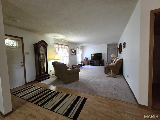 Living room — 13982 State Route 21 De Soto Missouri real estate