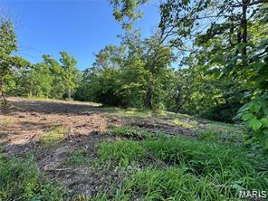 14690 Conway Road Dixon Missouri home for sale listed at $30,000