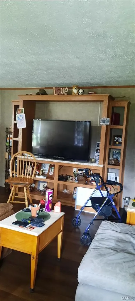 Living room — 20890 19 Highway Salem Missouri real estate