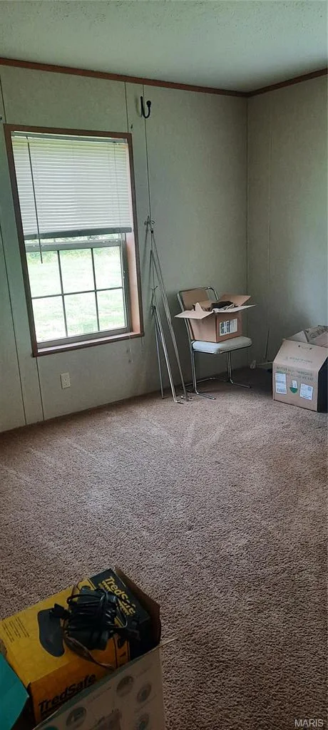 Primary bedroom — 20890 19 Highway Salem Missouri real estate