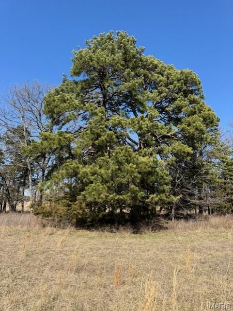 Primary bedroom — 34.66 Acres m/l Hwy 72/County Road 4080 Rolla Missouri real estate