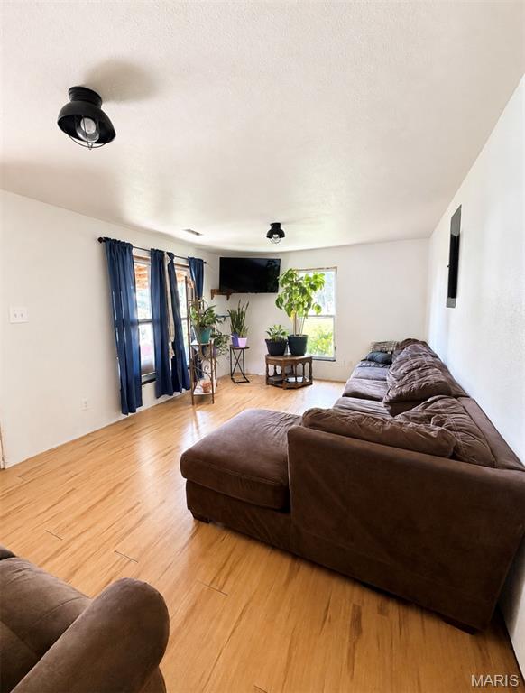 1023 Thomasville Road, Houston MO