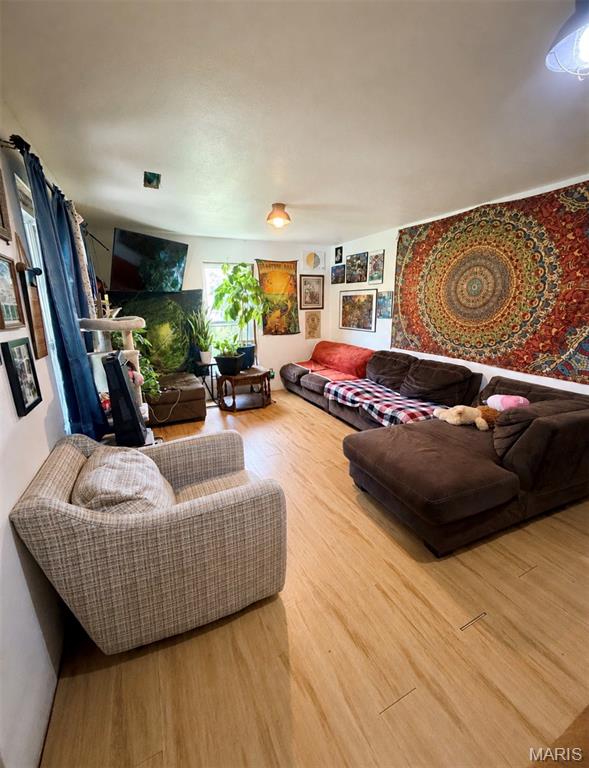 Living room — 1023 Thomasville Road Houston Missouri real estate