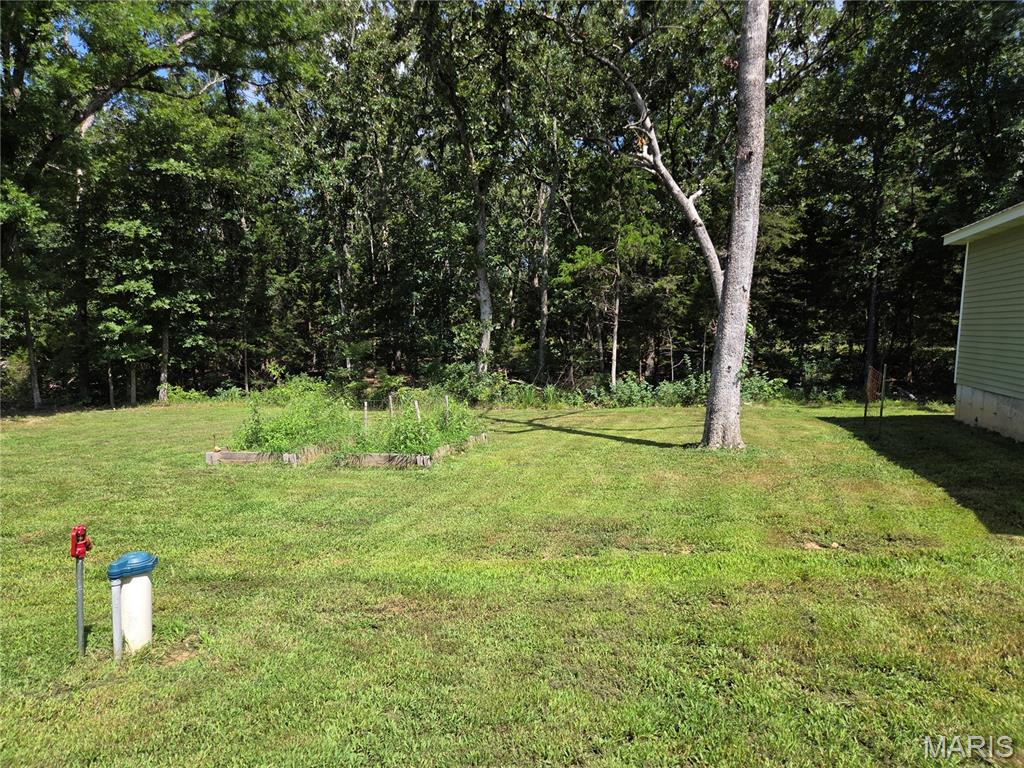 Photo 52