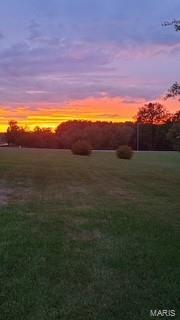 Photo 49