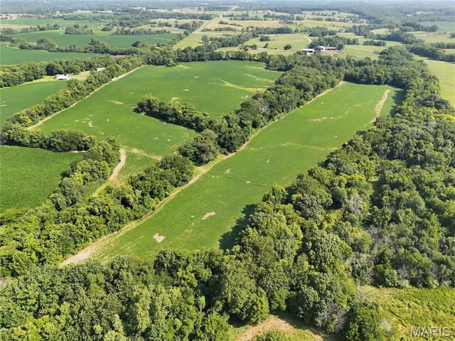 Living room — 0 Walnut Hill Ln. (36.31+/- Acres) Elsberry Missouri real estate
