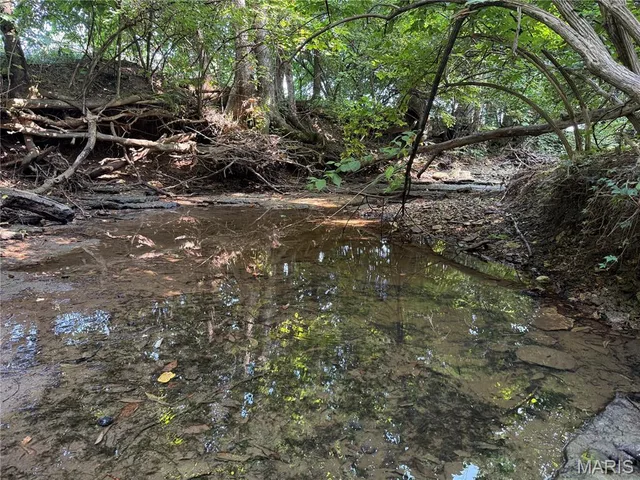 Primary bedroom — 0 Walnut Hill Ln. (36.31+/- Acres) Elsberry Missouri real estate
