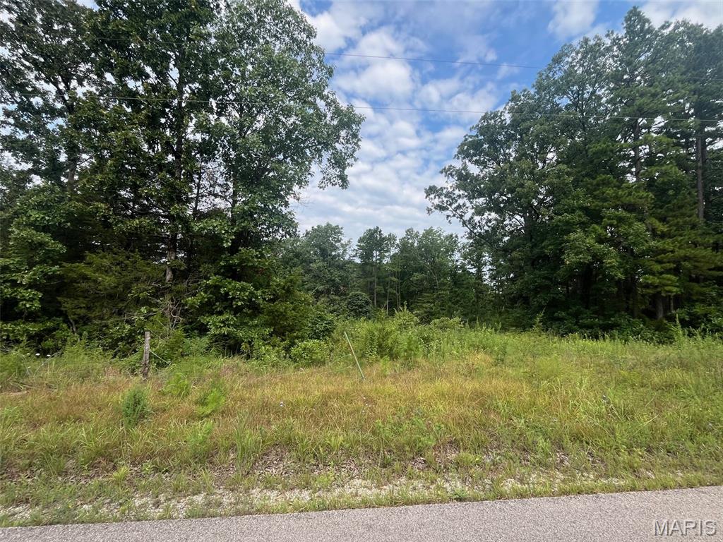 0 Grassy Hollow Road Potosi Missouri home for sale listed at $159,000