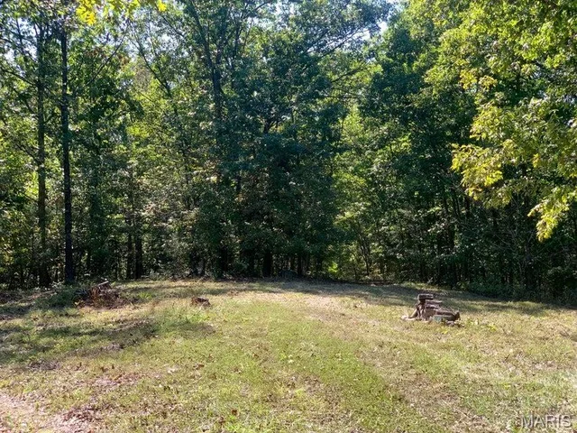 Primary bedroom — TBD Branch Road Fulton Missouri real estate