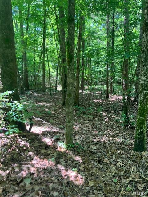 260 Madison CR 410 Fredericktown Missouri home for sale listed at $37,895