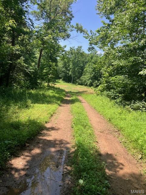250 Madison CR 410 Fredericktown Missouri home for sale listed at $66,183