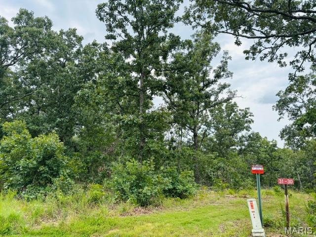 lot 31 W Hickory Ridge Road Steelville Missouri home for sale listed at $52,500