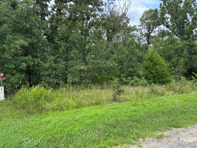 Kitchen — lot 31 W Hickory Ridge Road Steelville Missouri real estate