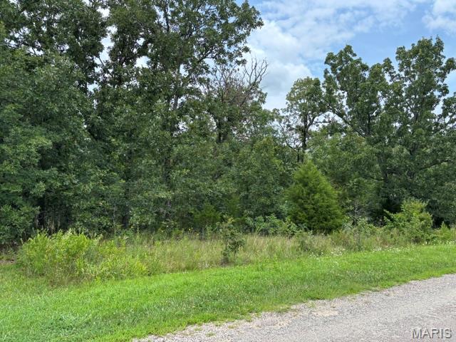 Primary bedroom — lot 31 W Hickory Ridge Road Steelville Missouri real estate