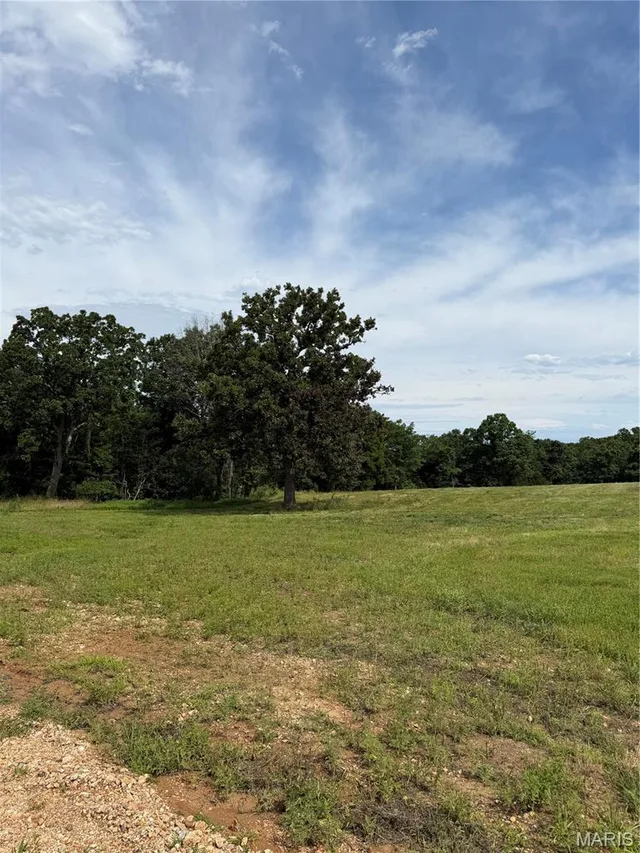 Tract 1 Ramsey Drive, Waynesville MO