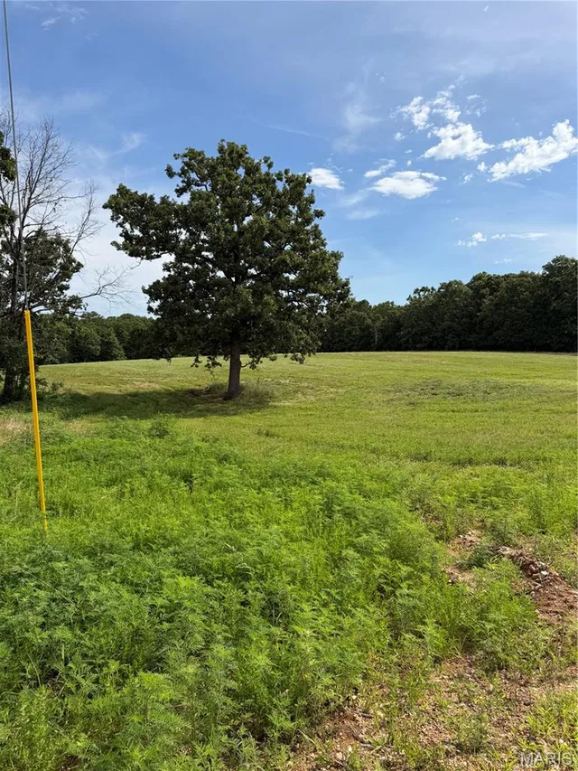 Front exterior — Tract 1 Ramsey Drive Waynesville Missouri real estate