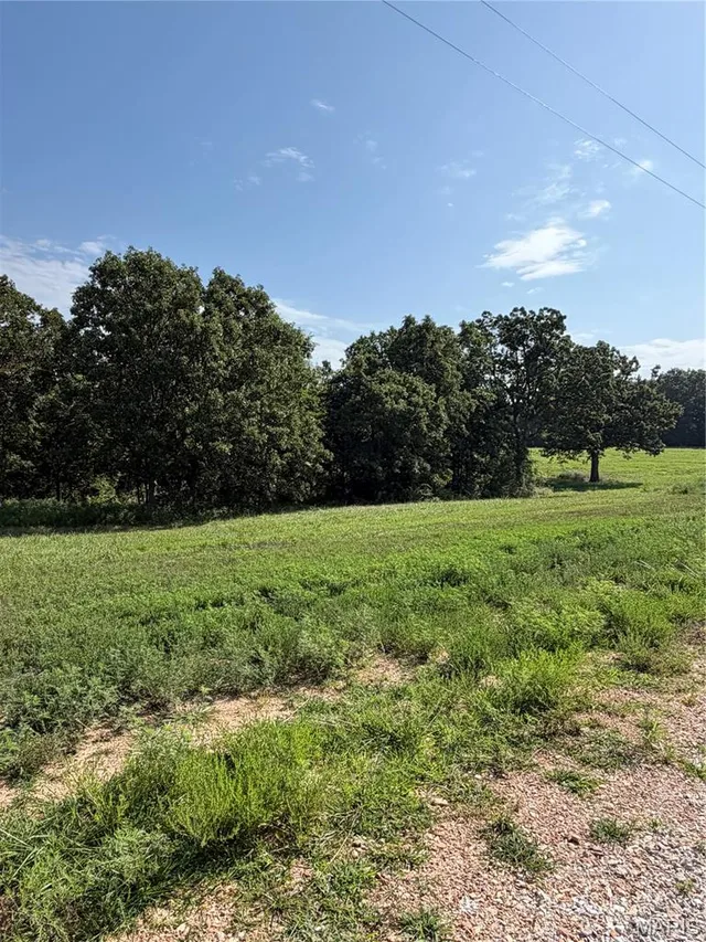 Tract 2 Ramsey Drive, Waynesville MO