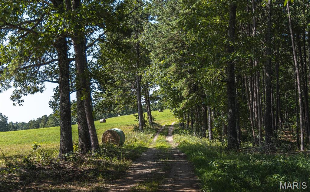 Tract 4 Private Drive 2336, Norwood MO
