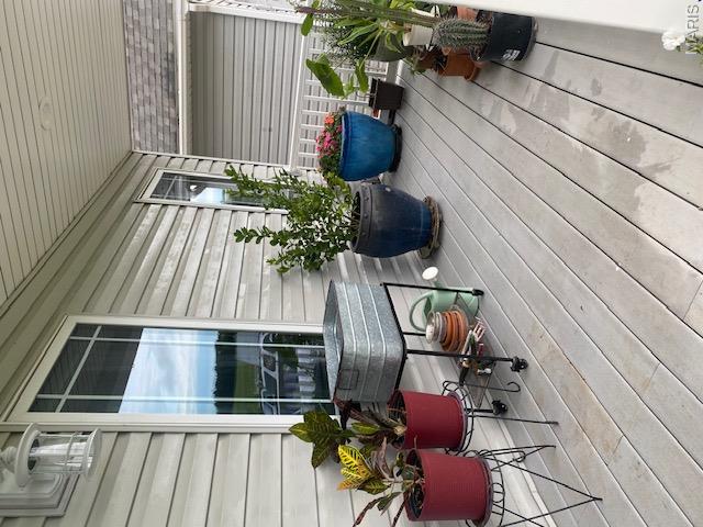 Photo 51