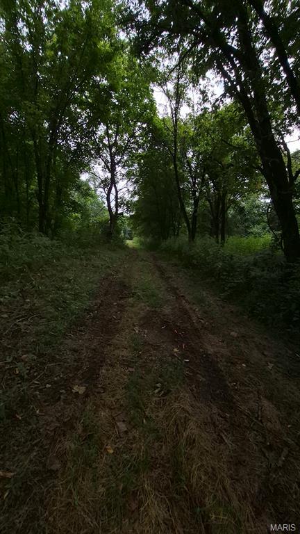 Photo 25