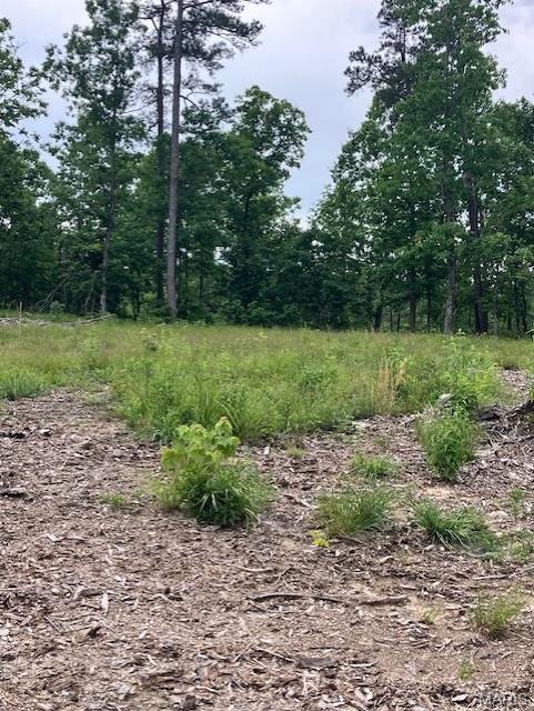 276 Madison CR 410, Fredericktown MO
