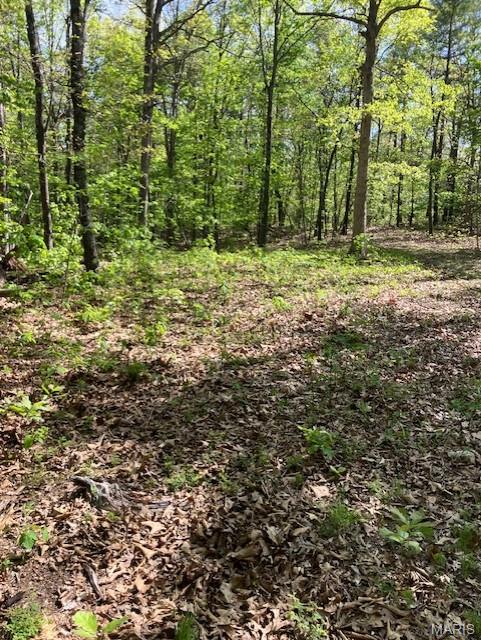 277 Madison CR 410, Fredericktown MO
