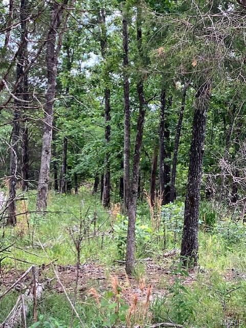 278 Madison CR 410, Fredericktown MO