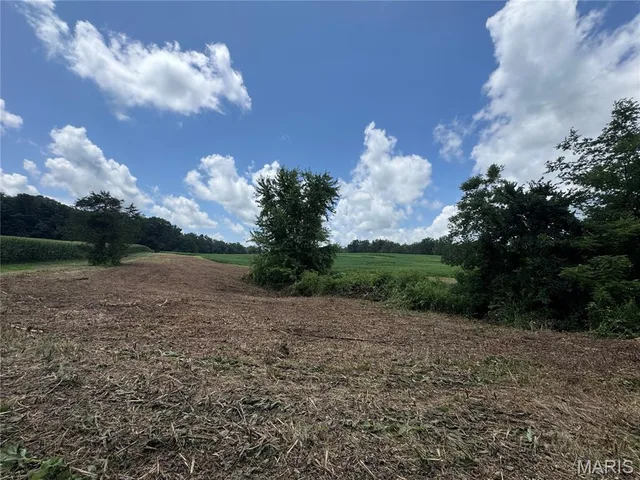 Living room — 101.14+/- ac Highway D Frohna Missouri real estate