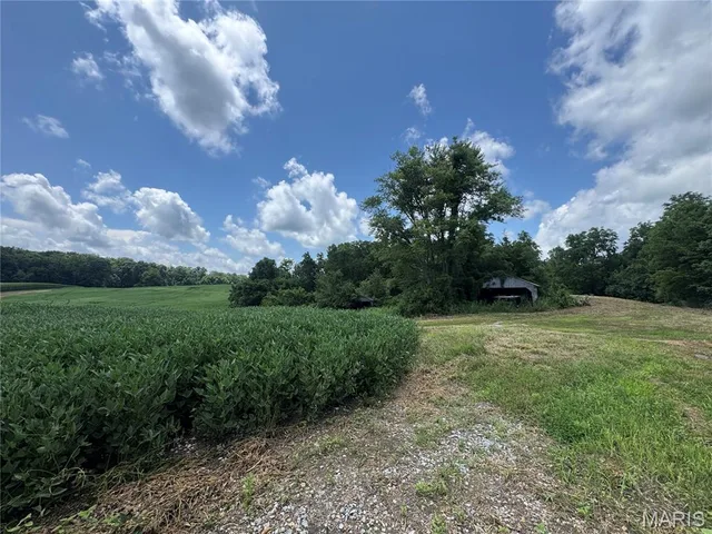 Kitchen — 101.14+/- ac Highway D Frohna Missouri real estate