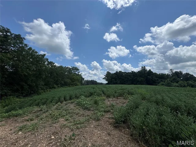 Primary bedroom — 101.14+/- ac Highway D Frohna Missouri real estate